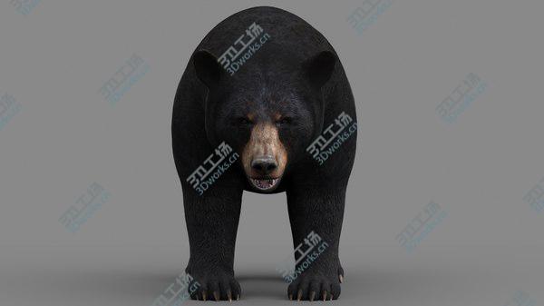images/goods_img/20210312/Black Bear model/4.jpg